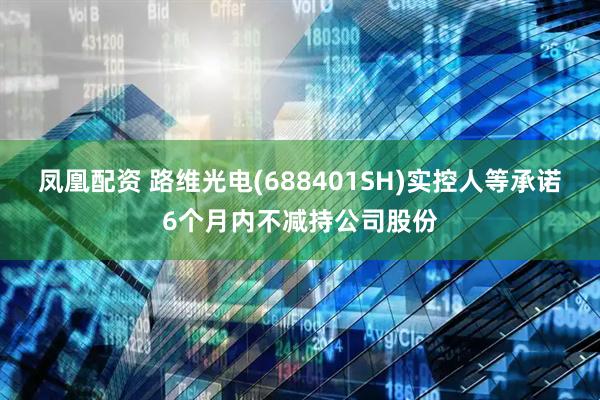 凤凰配资 路维光电(688401SH)实控人等承诺6个月内不减持公司股份